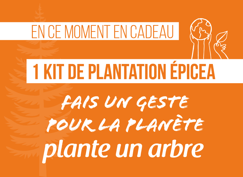 EN CE MOMENT EN CADEAU 1 KIT DE PLANTATION EPICEA