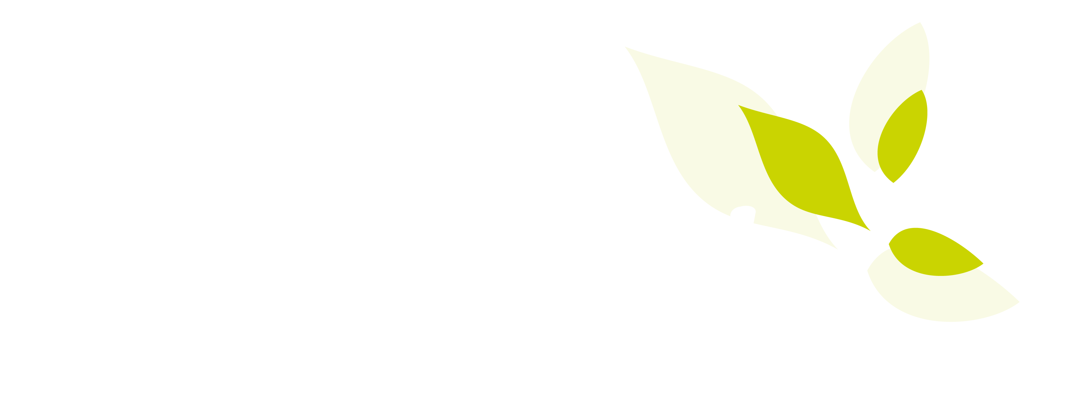 logo club crescendo